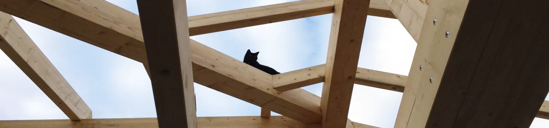 Frühling - Herbst: Katze auf Dachbalken
