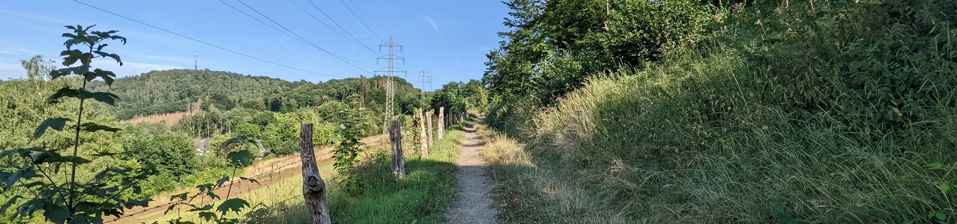 Frühling - Sommer: Wanderweg