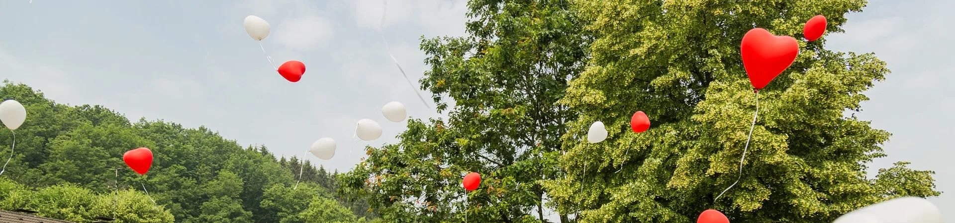 Frühling - Sommer: Herzluftballons mit Bäumen